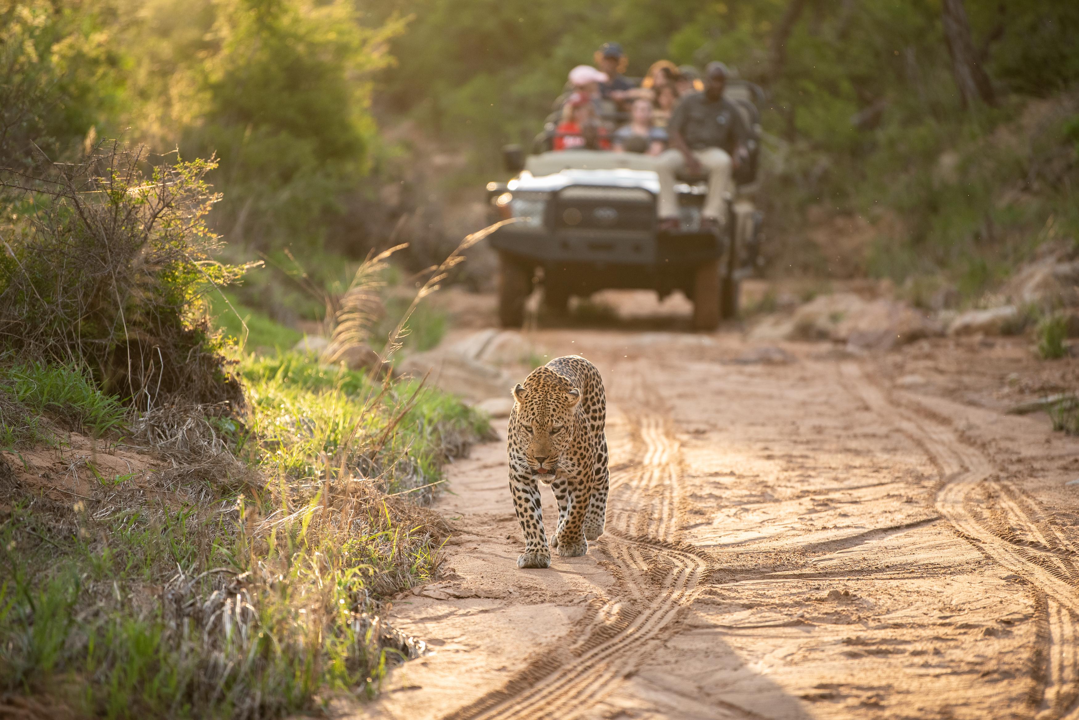 Kapama Buffalo Camp Kapama Game Reserve Zewnętrze zdjęcie