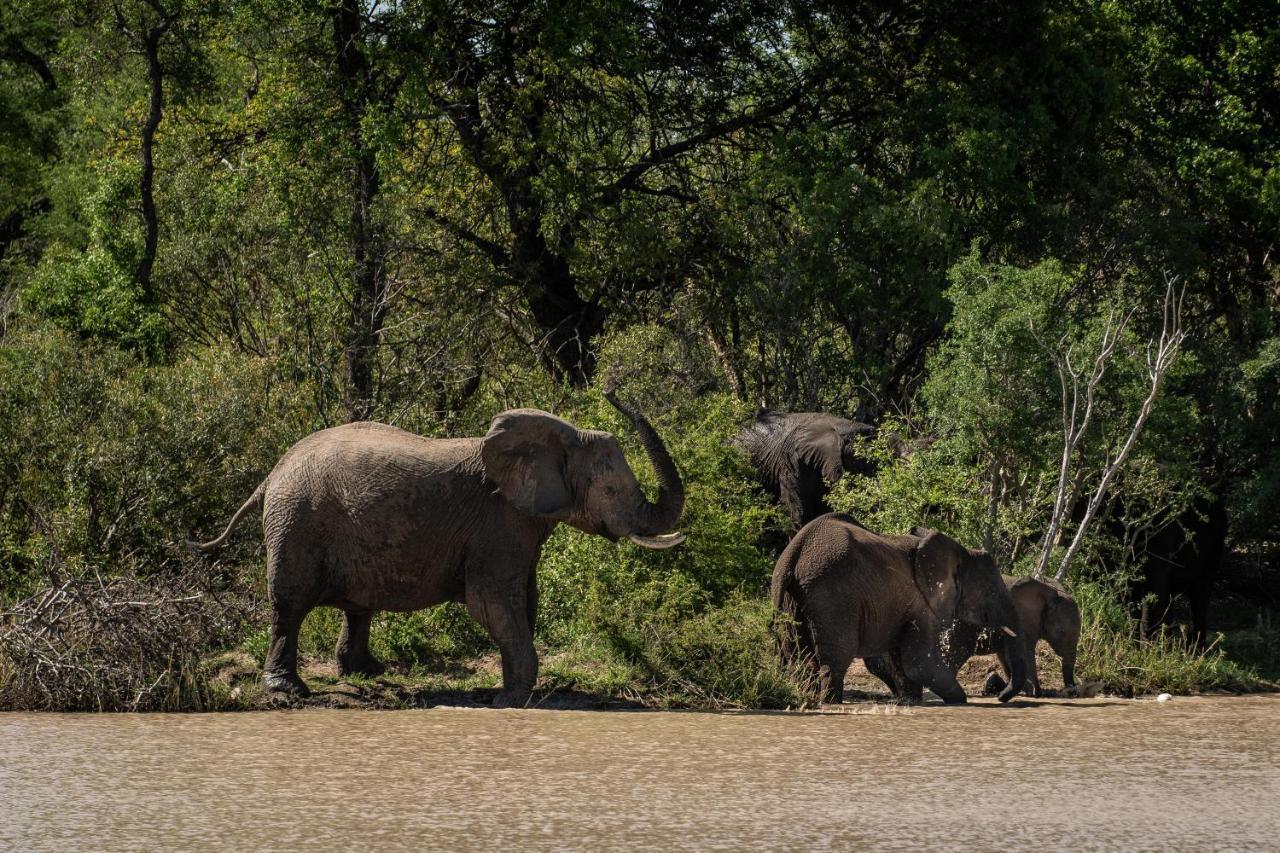 Kapama Buffalo Camp Kapama Game Reserve Zewnętrze zdjęcie