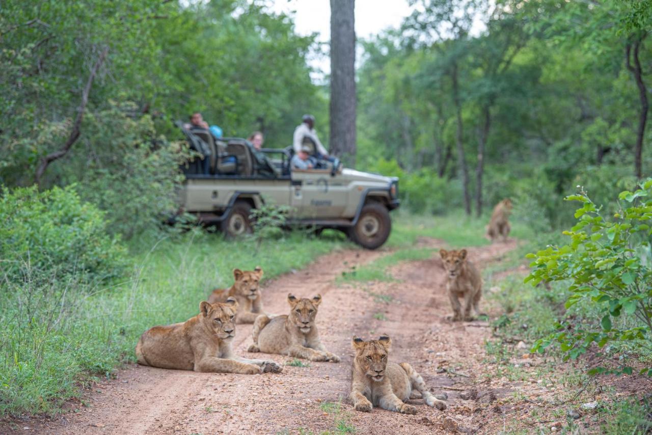 Kapama Buffalo Camp Kapama Game Reserve Zewnętrze zdjęcie