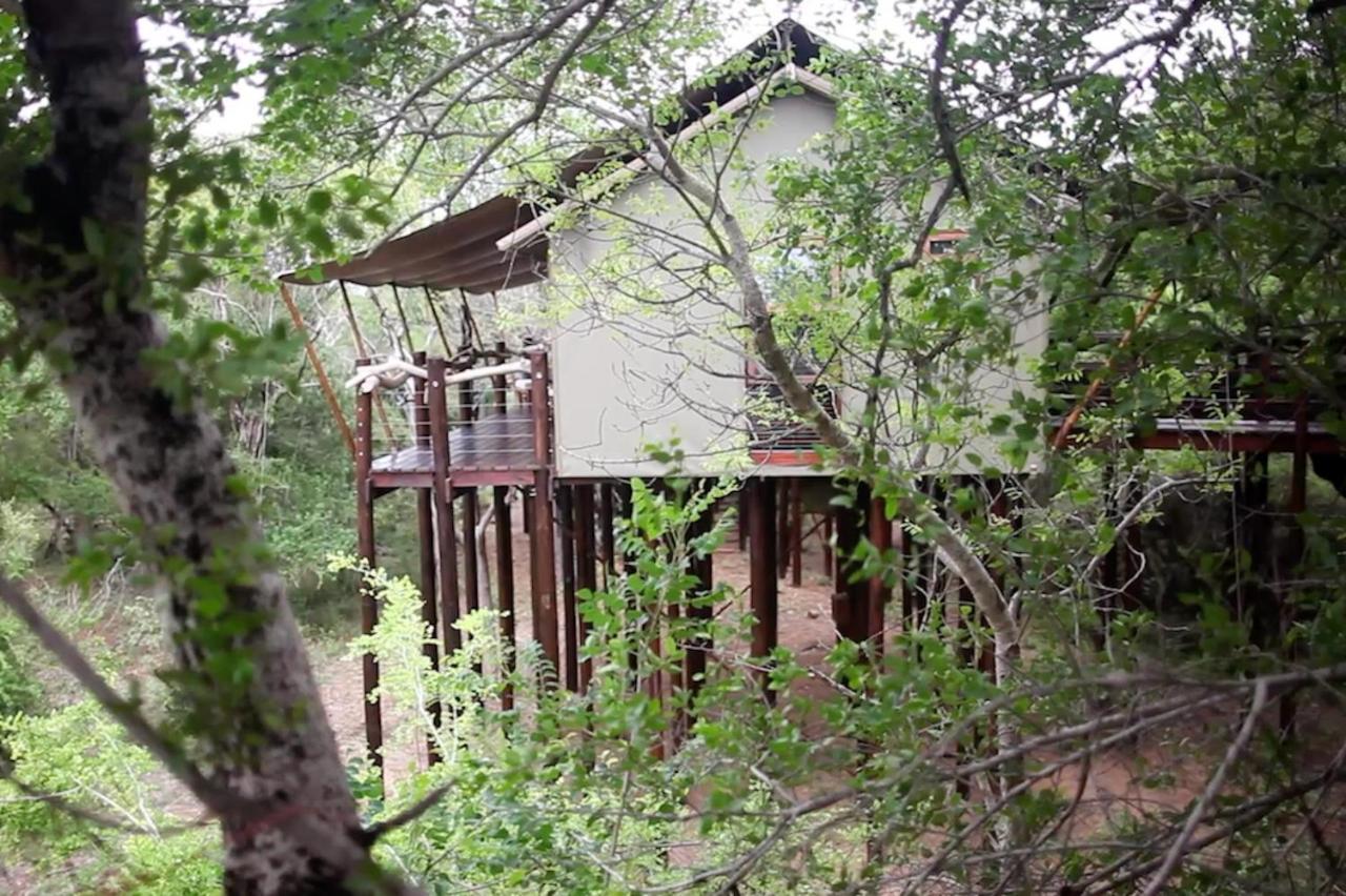 Kapama Buffalo Camp Kapama Game Reserve Zewnętrze zdjęcie