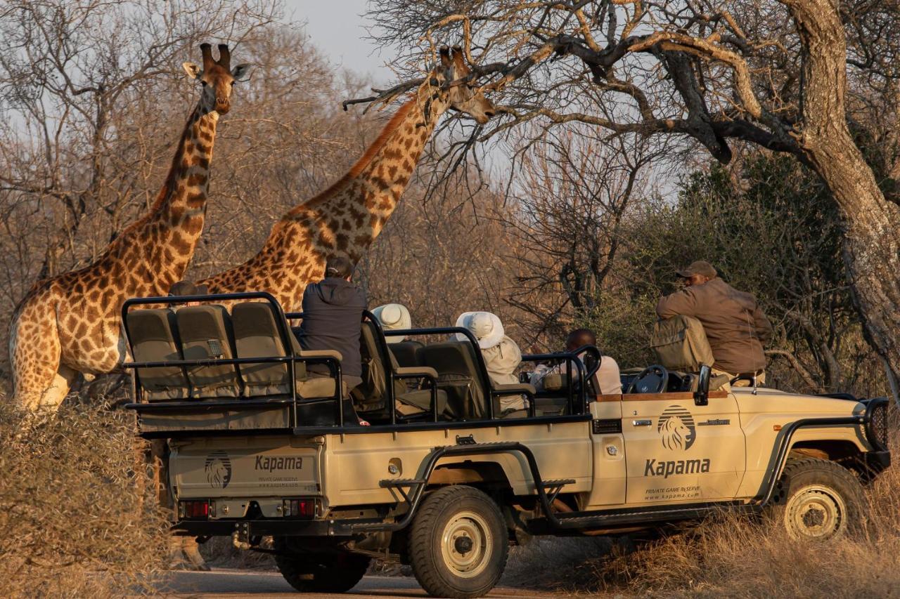 Kapama Buffalo Camp Kapama Game Reserve Zewnętrze zdjęcie
