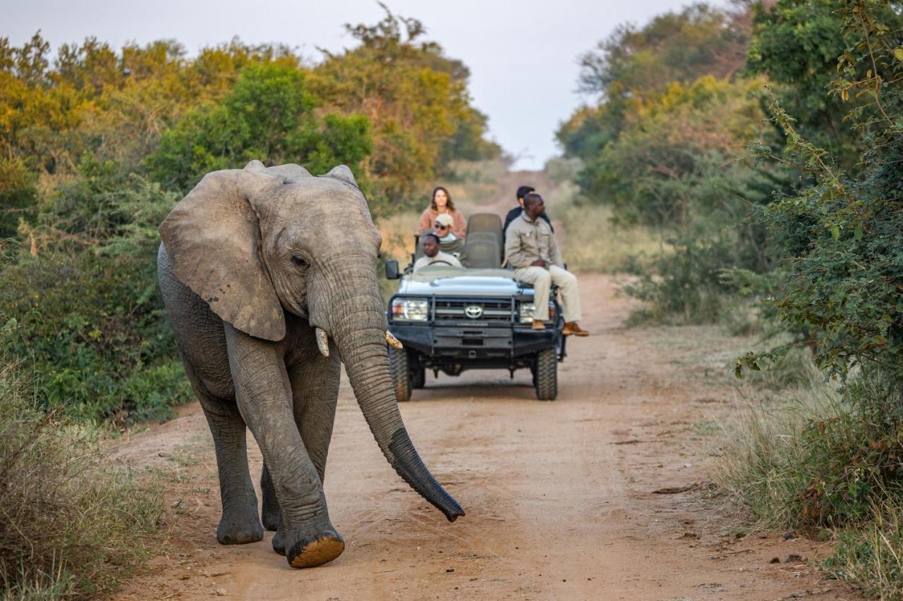 Kapama Buffalo Camp Kapama Game Reserve Zewnętrze zdjęcie